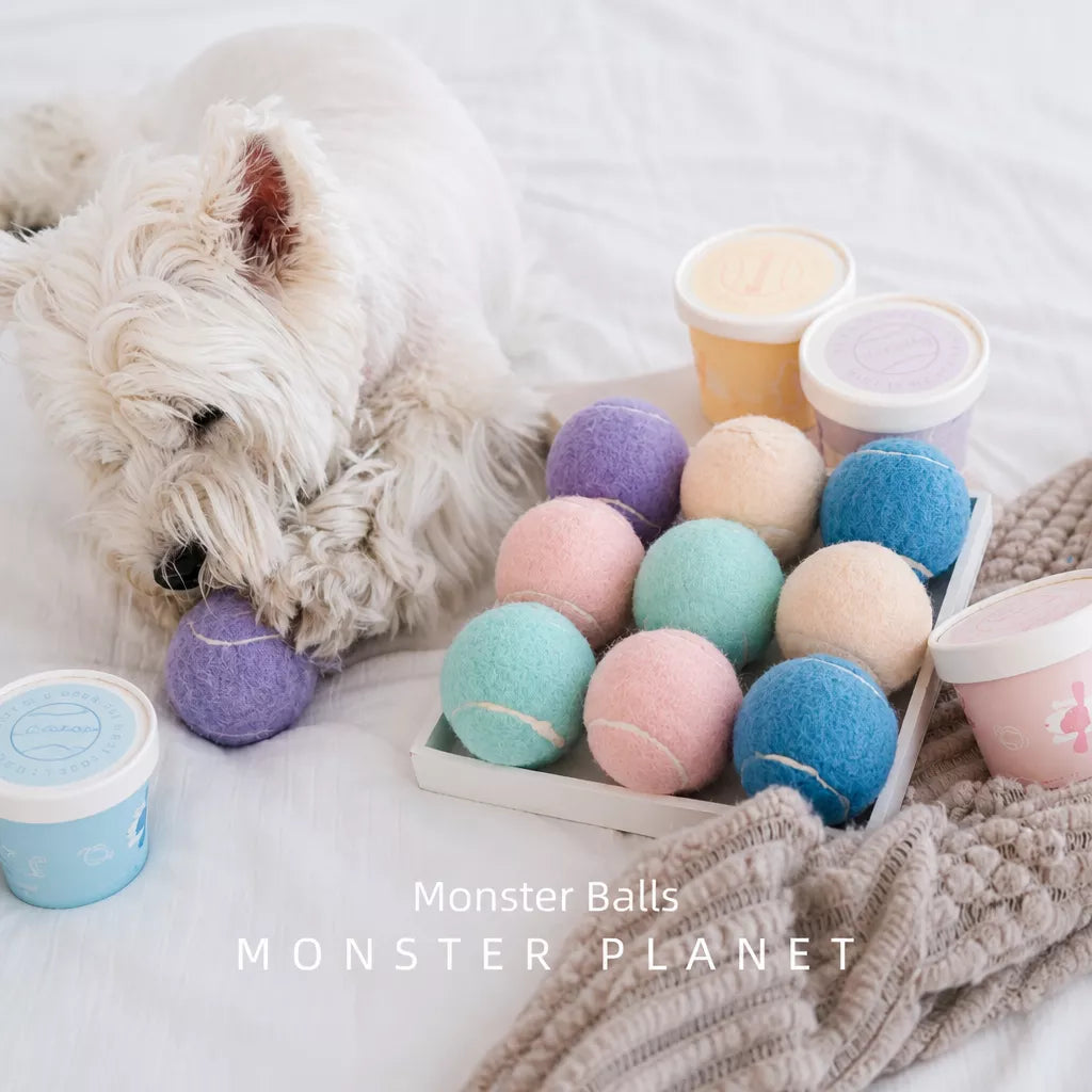 Ice Cream-Themed Interactive Dog Ball Toy
