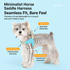Y-Shaped Nylon Dog Harness and Leash