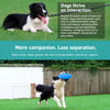 Floating Dog Frisbee Toy for Fetch and Interactive Play