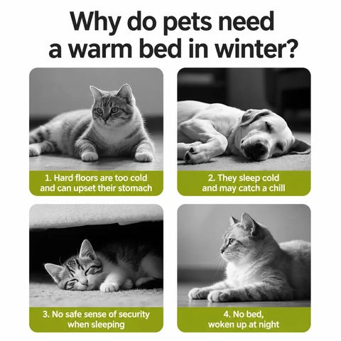 Removable, Washable Semi-Enclosed Bed for Cats & Dogs
