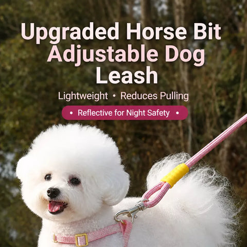 Vest-Style Nylon Dog Harness with Round Rope Leash