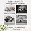 Ice Silk Cooling Pet Bed - p-00174