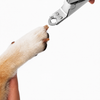 Stainless Steel Dog Nail Clippers with File for Medium & Large Dogs