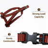 Adjustable Nylon Pet Harness and Leash Set