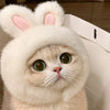 Animal Costume Hats for Dogs & Cats