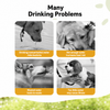 Portable Dog Water Bottle for Walks & Travel