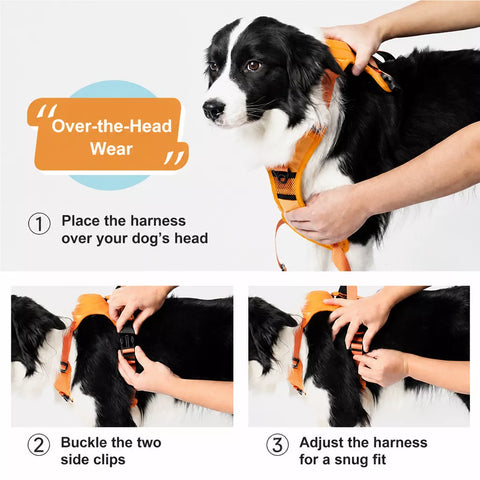 Nylon Dog Harness with Retractable Leash
