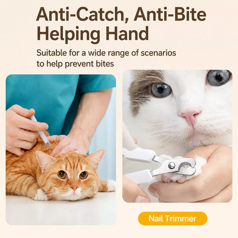 Clear Plastic Recovery Cone for Cats