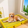 Dog Potty Training Tray with Grate