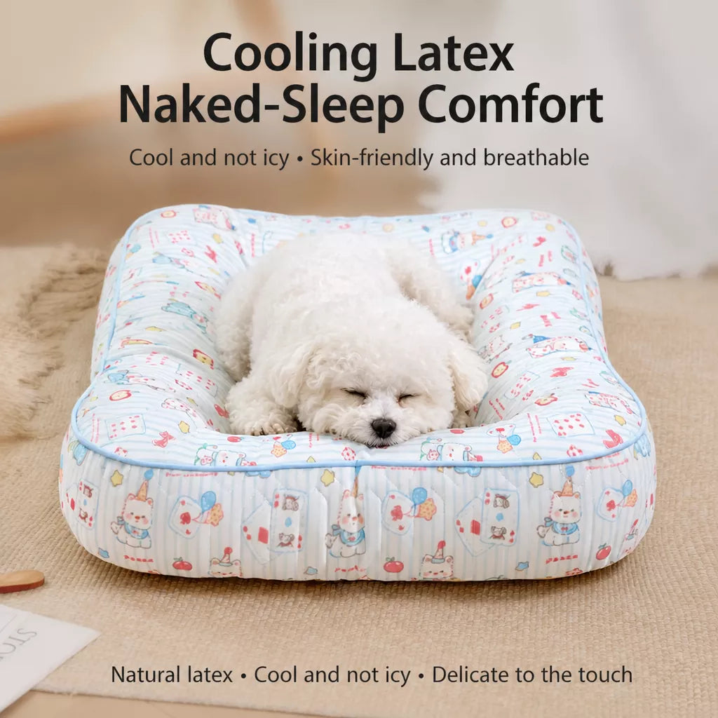 Washable Removable Small Dog Bed for Year-Round Use