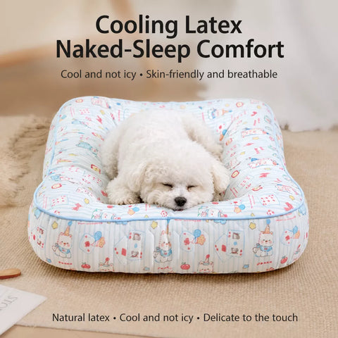Washable Removable Small Dog Bed for Year-Round Use