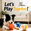 Squeaky Vinyl Dog Toy Balls for Small and Medium Dogs