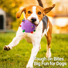 4.7-Inch Squeaky Plush Rolling Ball Toy for Dogs