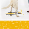Lightweight Nylon Dog Harness and Leash Set for Everyday Walks