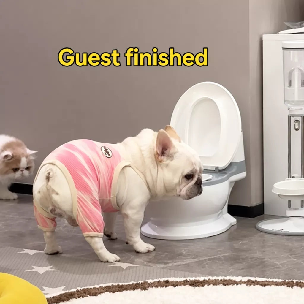 Toilet-Shaped Cat Water Bowl with Wide Opening