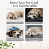 Ice Silk Cooling Pet Bed - p-00174