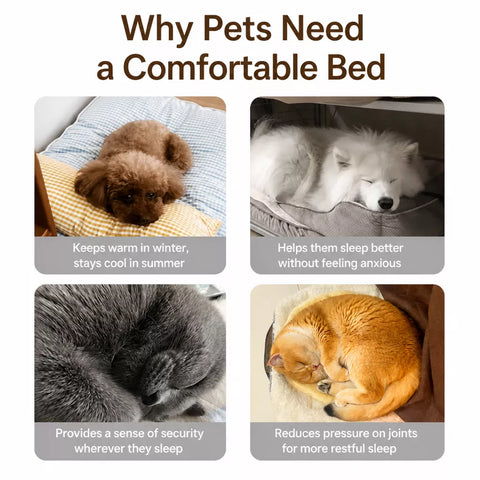 Enclosed Pet Bed Tent for Cats and Small Dogs