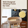 Low-Profile Cat Tree with Cat Bed and Sisal Scratcher