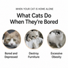 Foldable Crinkle Cat Tunnel Toy