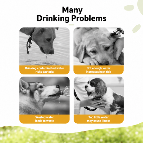 Portable Dog Water Bottle for Walks, Travel & Outdoor Use