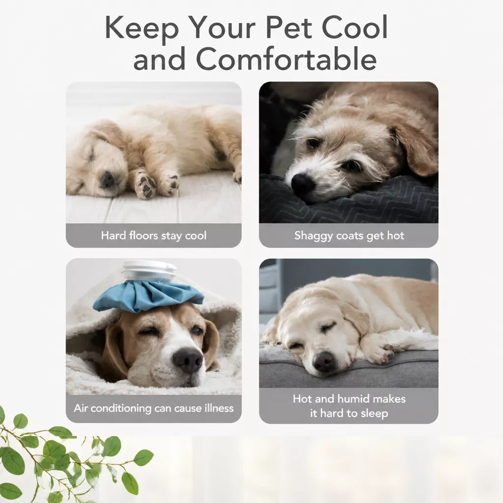 Cooling Dog Bed with Removable, Washable Design