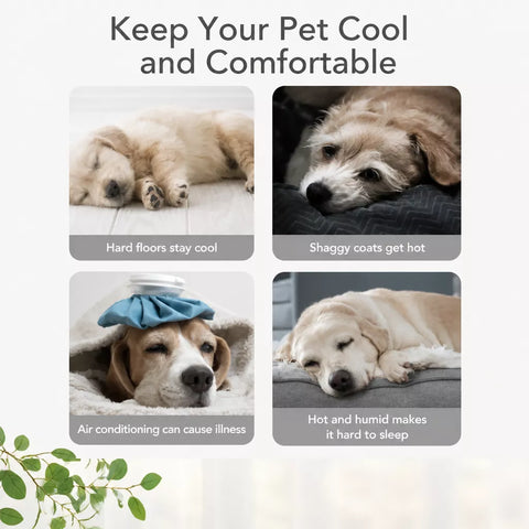 Cooling Dog Bed with Removable, Washable Design