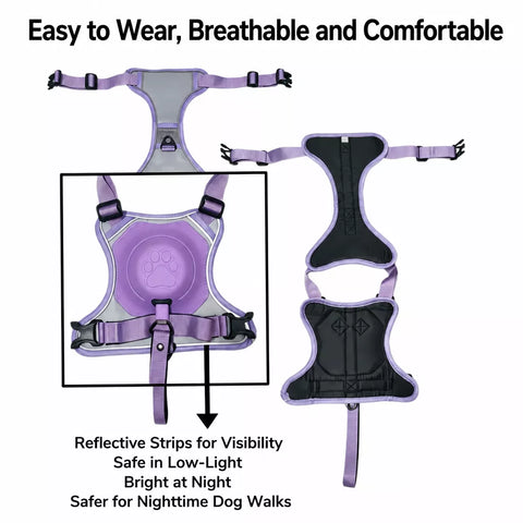 All-in-One Dog Harness with Leash