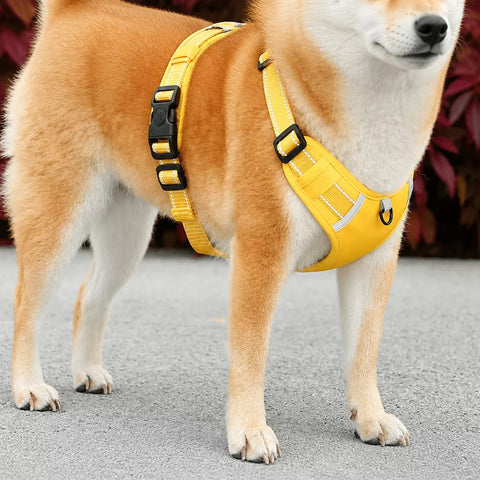 Nylon Dog Harness with Optional Leash