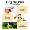 Corn-Shaped Dog Chew Toy