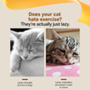 Interactive Electric Cat Toy with Feather and Fur Ball Accessories