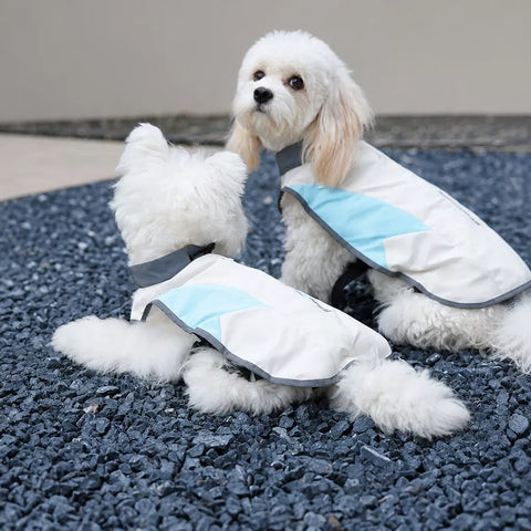 Lightweight Dog Summer Vest for Warm-Weather Walks