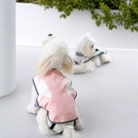 Lightweight Dog Summer Vest for Warm-Weather Walks