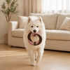 Latex Rope Chew and Tug Toy for Dogs and Cats - p-00008