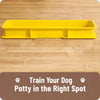 Dog Potty Training Tray with Grate