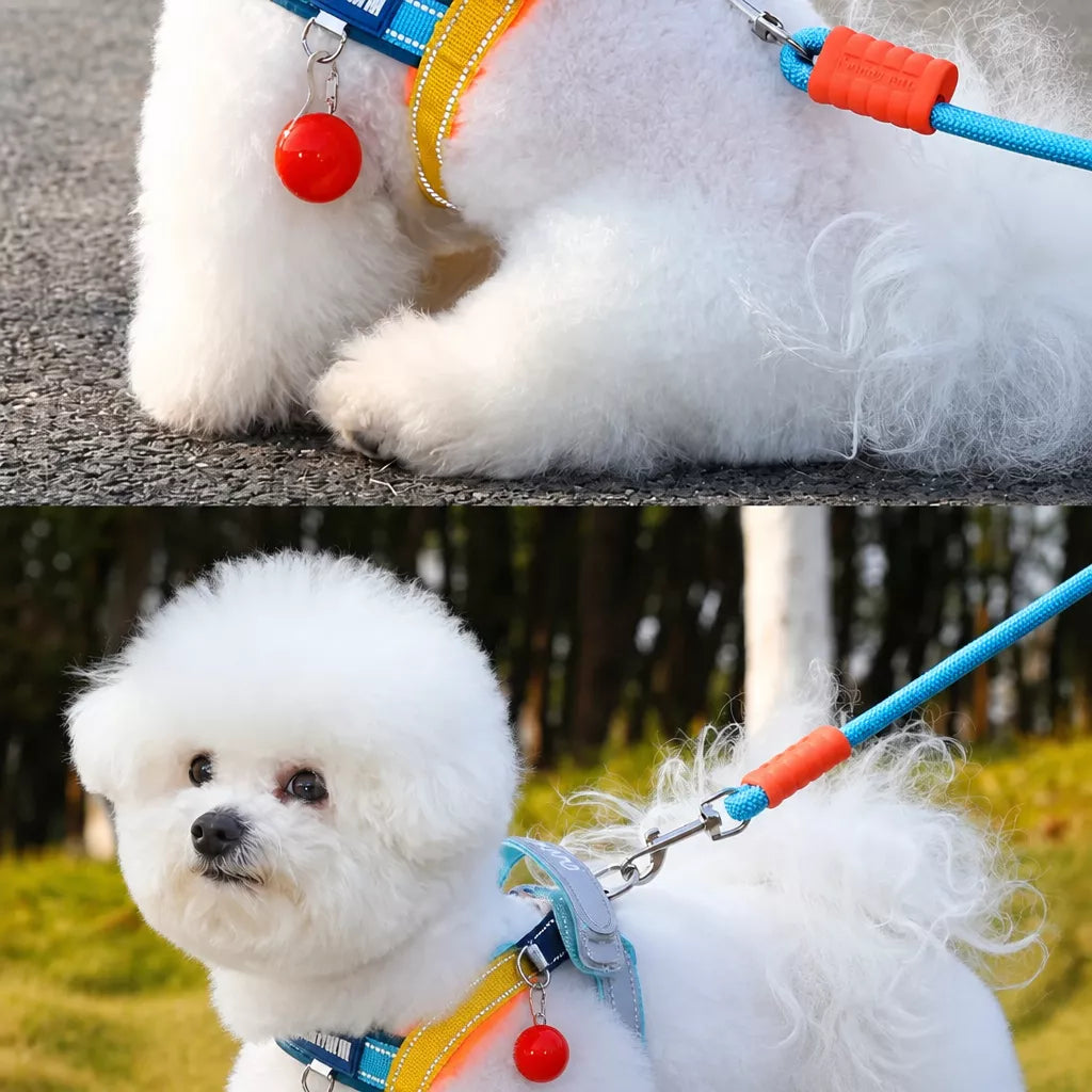 Vest-Style Nylon Dog Harness with Round Rope Leash
