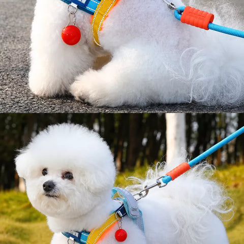 Vest-Style Nylon Dog Harness with Round Rope Leash