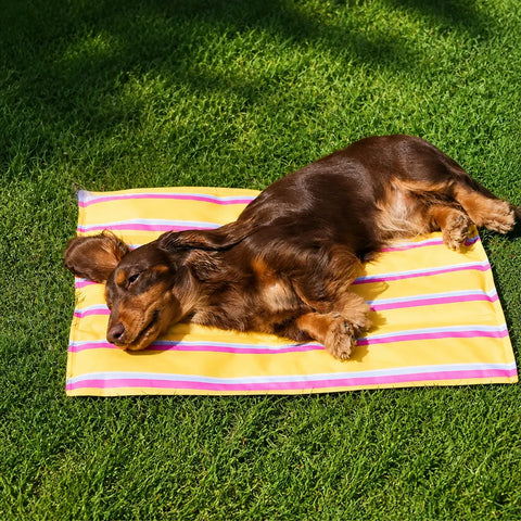 Striped Gel Pet Mat for Dogs & Cats