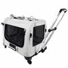 Foldable Pet Carrier for Cats and Dogs with Shoulder Strap