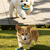 Nylon Dog Tug Toy for Tugging and Chewing