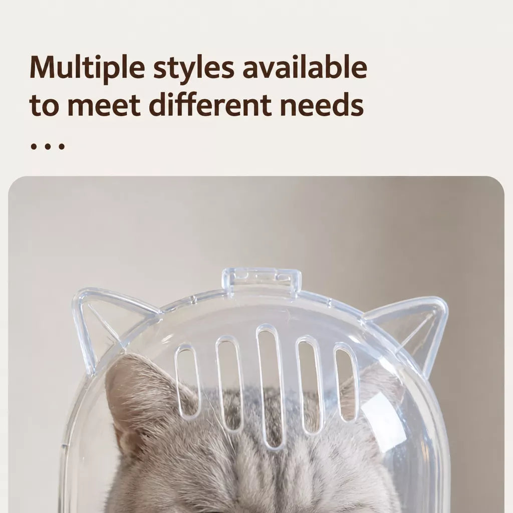 Clear Plastic Recovery Cone for Cats