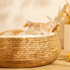 Handwoven Rattan Cat Bed for Cats & Small Dogs