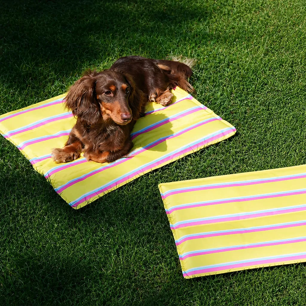 Striped Gel Pet Mat for Dogs & Cats