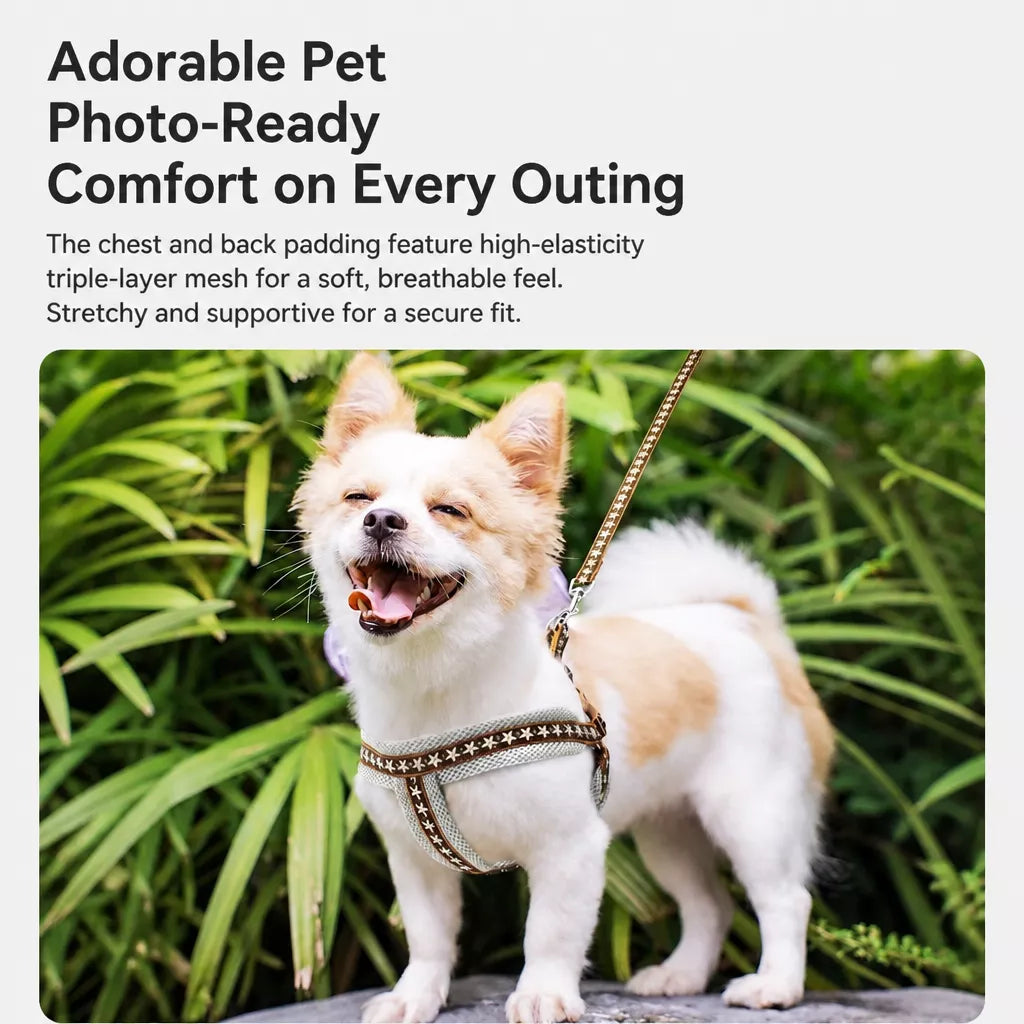 Small Dog Vest Harness and Leash Set