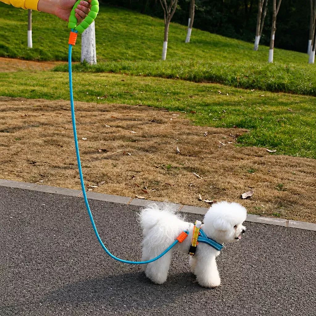 Vest-Style Nylon Dog Harness with Round Rope Leash