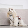 Lightweight Dog Summer Vest
