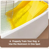 Dog Potty Training Tray with Grate