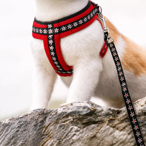 Small Dog Vest Harness and Leash Set