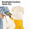 Lightweight Nylon Dog Harness and Leash Set for Everyday Walks