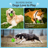Squeaky Vinyl Dog Ball Toy