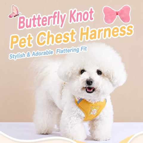 Bow Vest Harness and Leash for Small Dogs